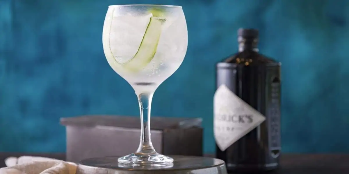 Melhores Taças de Gin